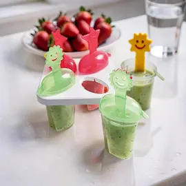 Set forme pentru inghetata Snips Lolly, 4 buc.