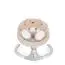 Balansoar electric Moni Ari bear, Beige, 2 image