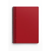 Caiet PROSTAND, tip college, cu spirala, A4, coperta PP, 60 file