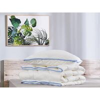 anthurium crystallinum x forgetii Anthurium Magnificum x (Crystallinum x Forgetii)