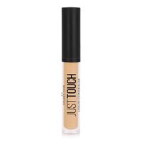 Liquid concealer Golden Rose JUST TOUCH 07