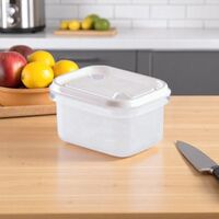 Container pentru produse alimentare MTM  250 ml