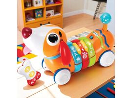 Jucarie catelus-curcubeu cu RC WINFUN, interactiva, cu sunete si lumini