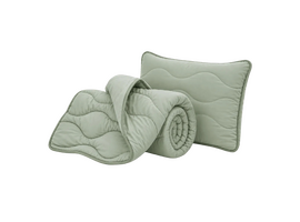 Set plapumă și 2 perne DORMEO Nature Comforter Eucalyptus, 200x200 cm, 50x70 cm, verde