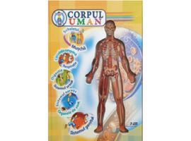 CORPUL UMAN