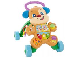 Ходунки FISHER-PRICE FRC93, Собака