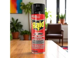 Spray RAID Gandaci si Furnici, 400 ml
