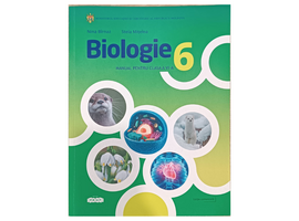 Manual Biologia cl.6, Nina Birnaz, Stela Mitelea