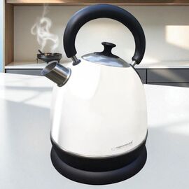 Электрочайник Esperanza Colorado EKK033W inox, 1.8л