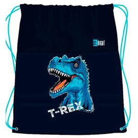 Geanta-rucsac Blue T-Rex pentru incaltaminte, 43X34 cm