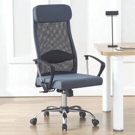 Офисное кресло Xenos Paris, Gray