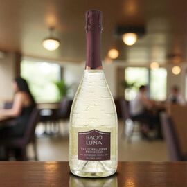 Вино игристое BACIO DELLA LUNA Prosecco Extra Dry DOCG Valdobbiadene, 750 мл