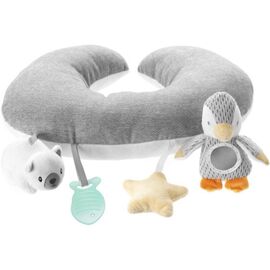 Perna de joacă NUBY ID99619 "Little Penguin", De la naștere