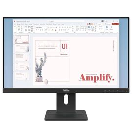 Монитор LENOVO ThinkVision E24-40 23.8"