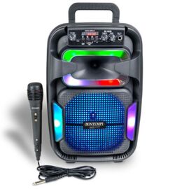 Boxa wireless BONTEMPI cu microfon dinamic si iluminare