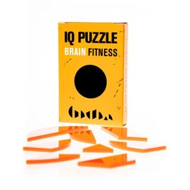 Головоломка IQ PUZZLE Circle, 8 деталей