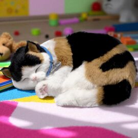 Интерактивная игрушка PERFECT PETZZZ, "Калико-котенок"