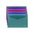 Mapa-plic A3 ERICHKRAUSE Glossy Vivid, cu capsa, culori diferite