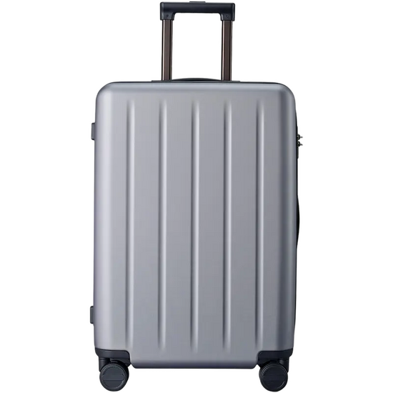 Troler NINETYGO Danube 24", gri