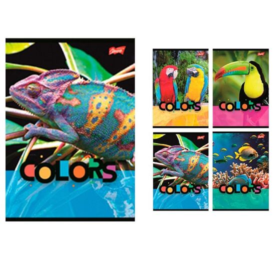 Caiet MAJEWSKI A5 Exotic Colors, 32 foi, patratele