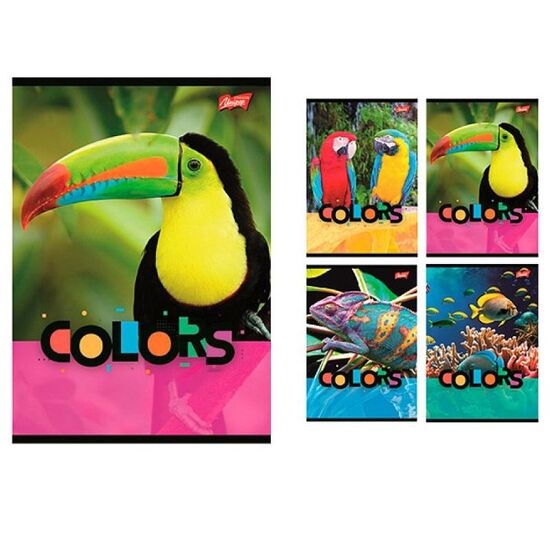 Caiet MAJEWSKI A5 Exotic Colors, 32 foi, linie