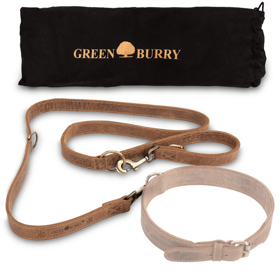 Lesa pentru câini Green Burry 1602-25, 2 image