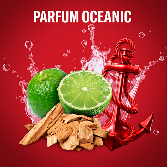 Deodorant-stick OLD SPICE Captain, pentru barbati, 70 ml, 2 image