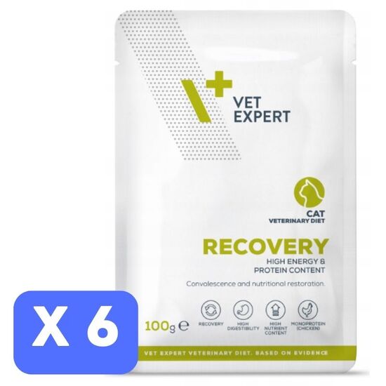 Набор Влажный корм для кошек VET EXPERT Diet Recovery, 100 г х 6 шт