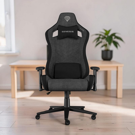 Игровое кресло GENESIS Nitro 660, Серый