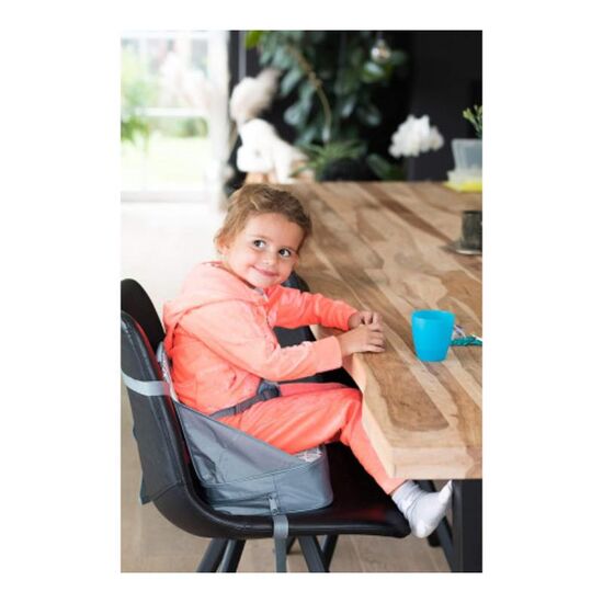 Scaun portabil NUBY NV05002 Seat, De la 9 luni, Gri, 6 image