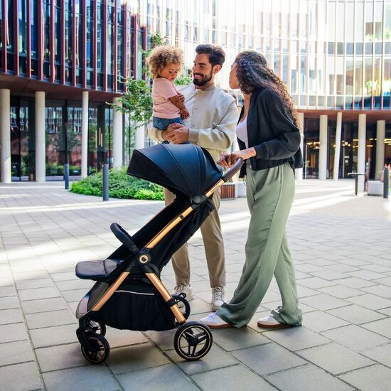 Carucior LIONELO Ingrid Beige Sand, 8 image