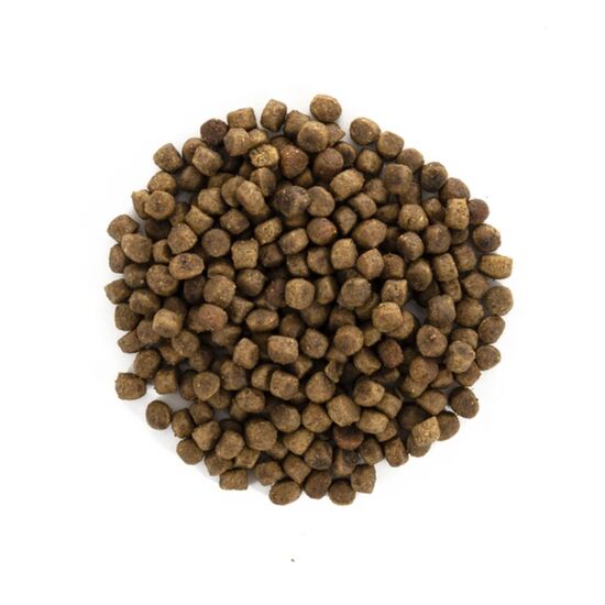 Hrana uscata pentru pisici BRIT GF Indoor, cu pui, 2 kg, 3 image