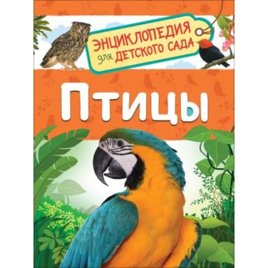 Птицы (Энциклопедия для детского сада)