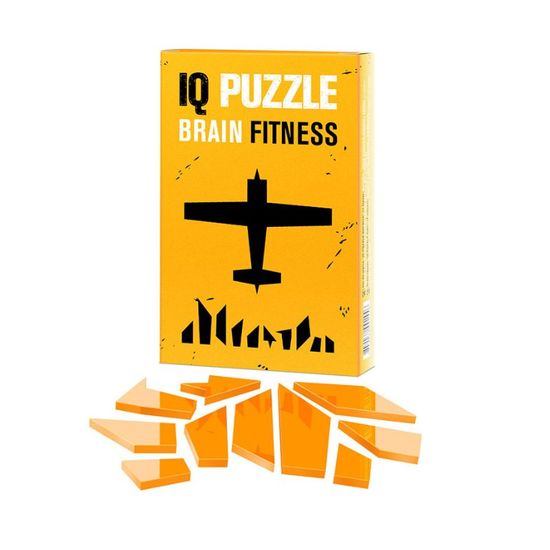 Головоломка IQ PUZZLE Plane, 10 деталей