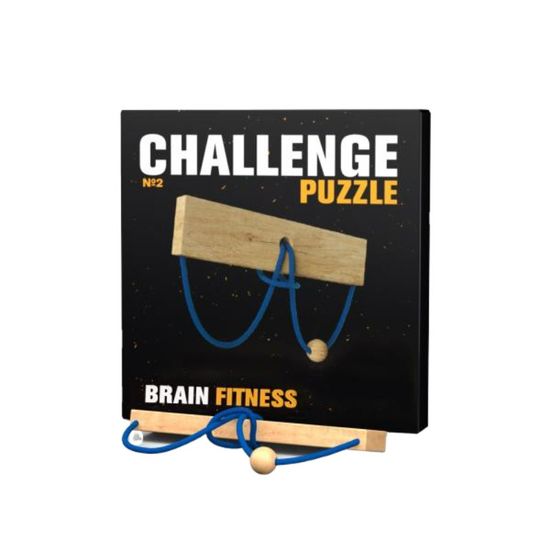 Головоломка CHALLENGING PUZZLE №2