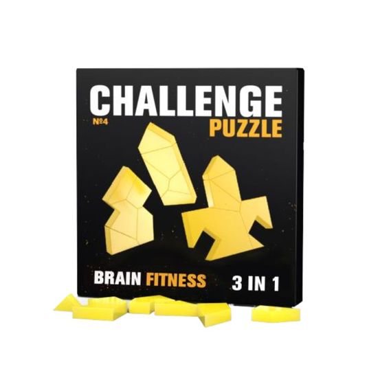 Головоломка CHALLENGING PUZZLE №4