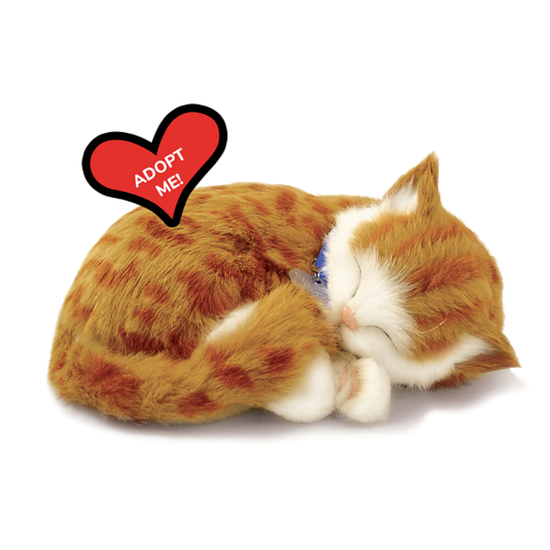 Jucarie interactiva PERFECT PETZZZ, "Pisicuta tabby portocalie", 3 image