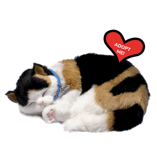 Интерактивная игрушка PERFECT PETZZZ, "Калико-котенок", изображение 4