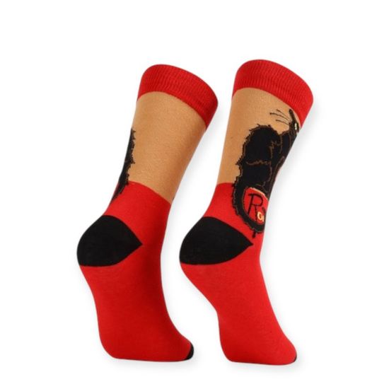 Ciorapi pentru barbati YJWZI429, cu desen, 40-48, 2 image