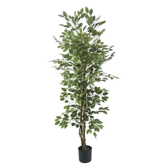 Ficus artificial in ghiveci, 150 cm