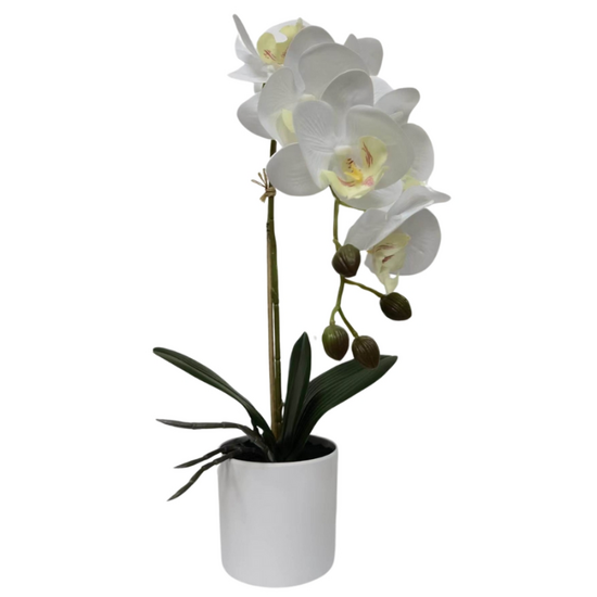 Orhidee artificiala in ghiveci, alba, 44 cm, 2 image