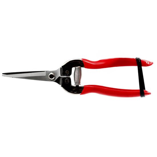 Foarfece pentru struguri MPN, 200mm