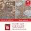 Клей для приклеивания декоративных камней Stone Freeze Nanomax, 5 л, изображение 2