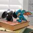 Mini-dragon interactiv SPIN MASTER, "Cum să dresezi un dragon”, 12 image