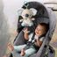 Плюшевая игрушка Коала от Fisher-Price, со звуком, изображение 6