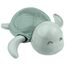 Termometru pentru cada Kikkaboo Buddy Mint