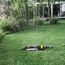Aspersor oscilant KARCHER OS-5.320SV, 2 image