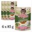 Set Morando Sup Prof Gatto, Porc, cartofi si morcov, 85 g, 6 buc