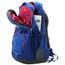 Rucsac DEUTER Ypsilon bay-steel, 3 image