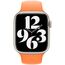 Ремешок APPLE Sport Band 45mm - Bright Orange, изображение 3
